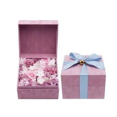 Box ya Bisadilu ya Luxuille